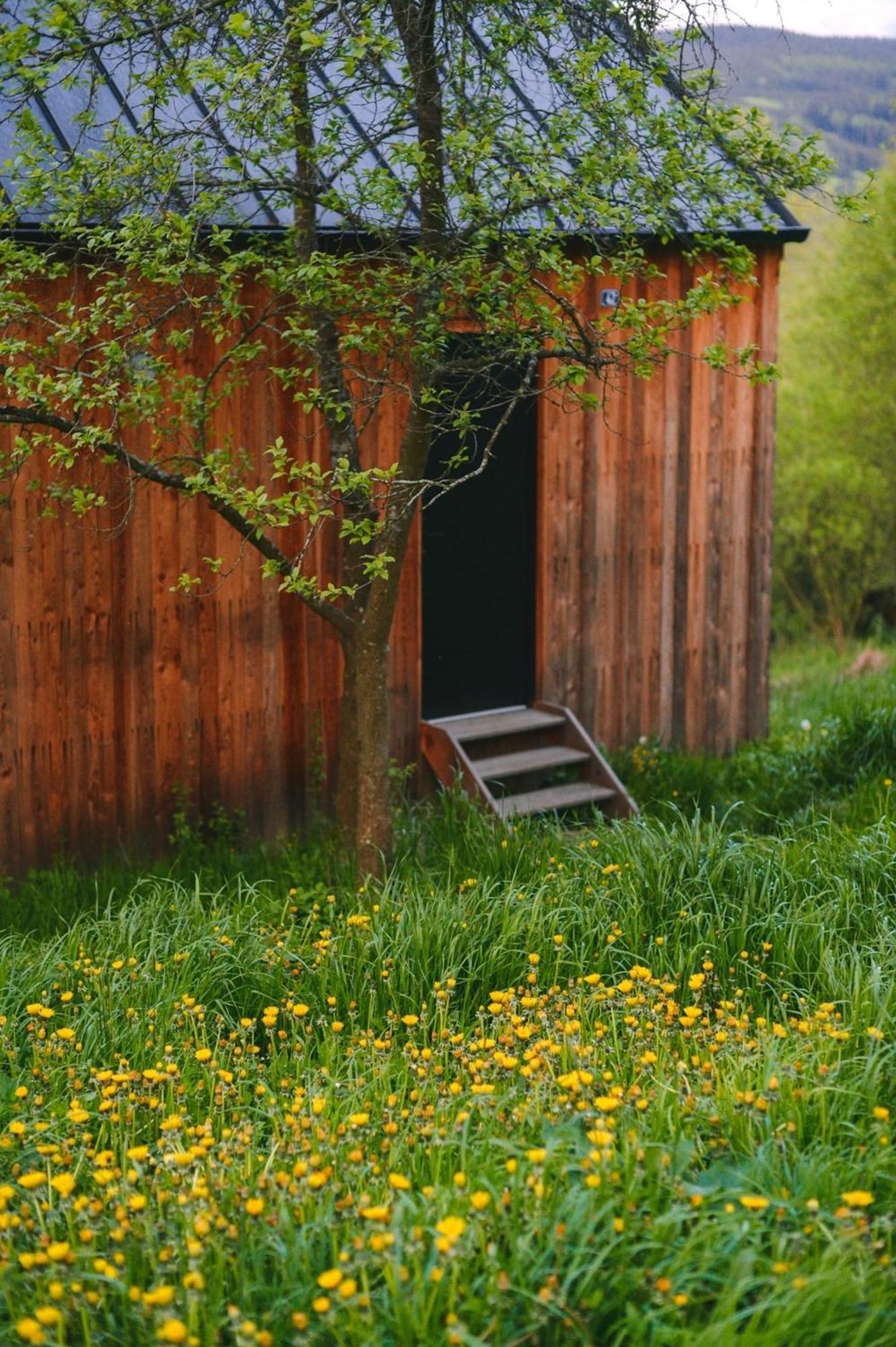 Tri Domky - Tiny Houses Depoltice Ngoại thất bức ảnh